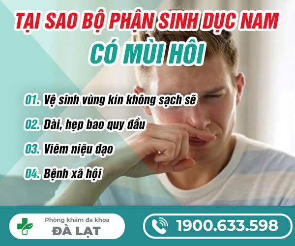 Hình ảnh minh họa